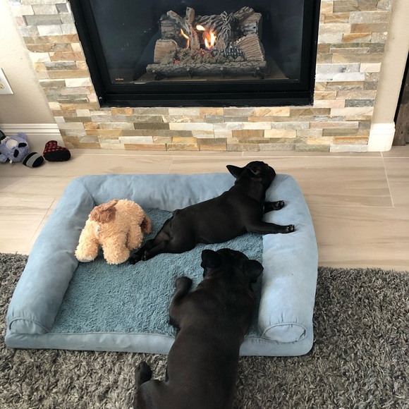 Meet your Posher, Brieann - Picture 3 of 6